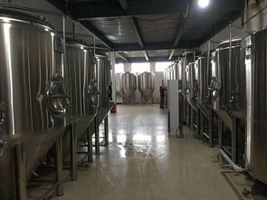 酒厂设备,烧烤店精酿啤酒设备,原浆啤酒设备,酒吧精酿啤酒设备厂家