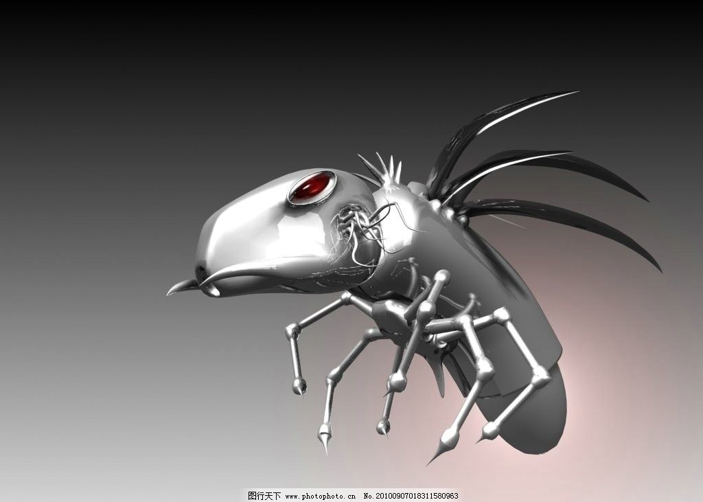 3D虫子立体效果图片